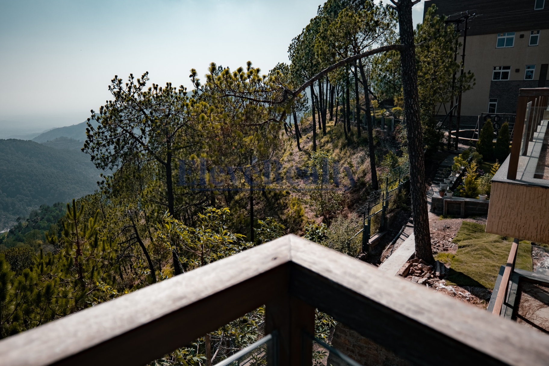 Forest ridge view from the villa balcony